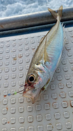 588565601879326959_medium 588565601879326959_medium