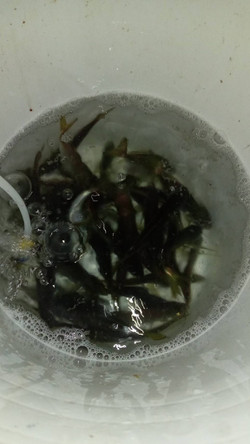 588565604831854697_medium_2