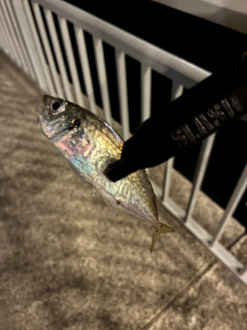 588949170946834841 588949170946834841