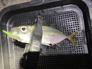 589236267464786383 589236267464786383