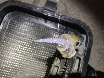 589236270132625495 589236270132625495