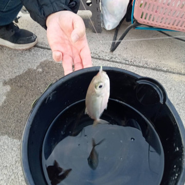 594188595293061631_medium