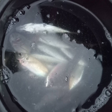 594188610040234564_medium