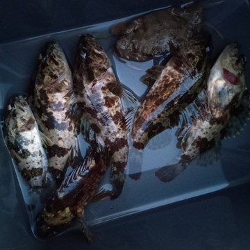 594188633595707566_medium