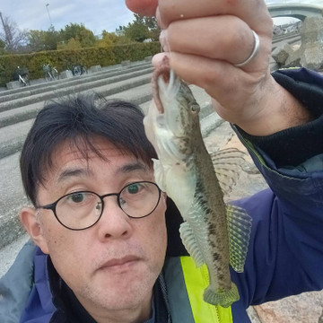 594255432752038093_medium