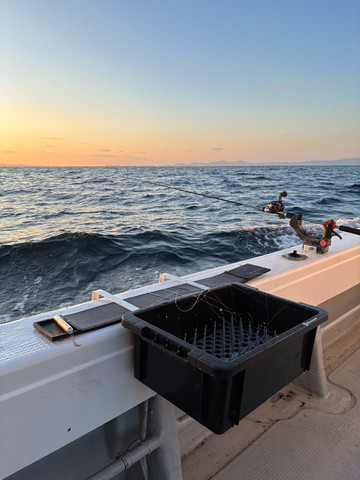 601838844627124366 601838844627124366