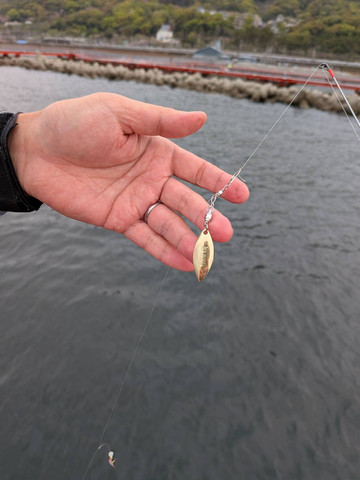 609766952290484327 609766952290484327