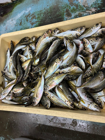 609766977288536083 609766977288536083