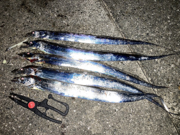 635930047949832739