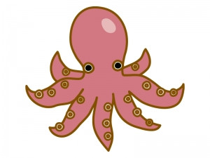 Octopus_tako_14450300x225