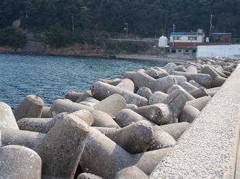 P1100066_medium