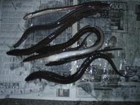 20100403_01_08_small