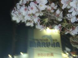 20100404_01_05_small