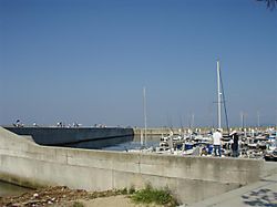 20100605_02_01_small