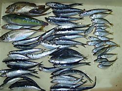 20100605_04_01_small