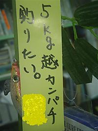 20100706_04_small