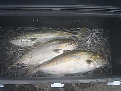 20100705_01_06_small