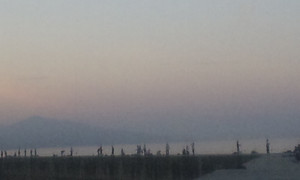 Photo_4