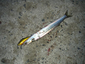 20100907_01_02_small