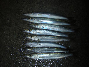 20100907_01_04_small
