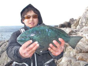 P2010048_small
