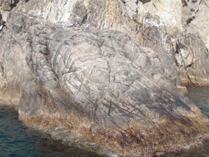 P2010067_small
