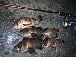 20110225_02_02_small
