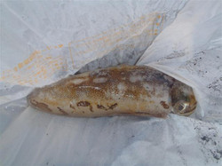 20111009_06_small