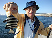 Ca3j0028_small