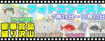 459961280354a9e246389fdff2693c981_2