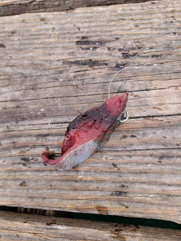 591717061378441940 591717061378441940