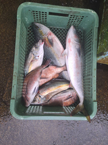 591717088088031893 591717088088031893