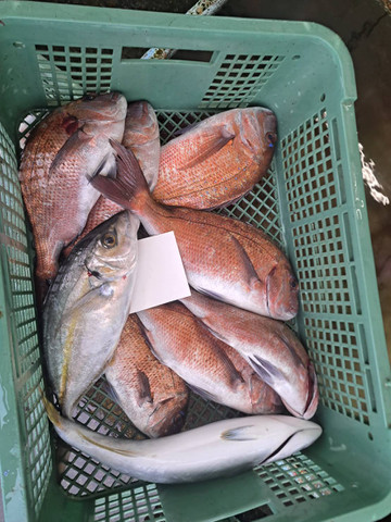 591717093808799779 591717093808799779