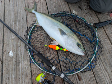 591792333414989876 591792333414989876