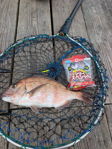 591792336586145811 591792336586145811