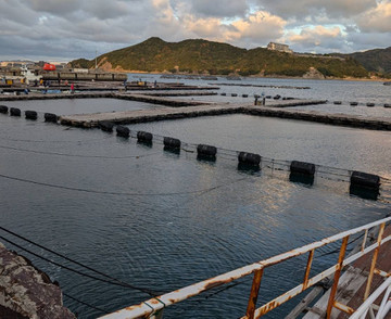 591792419381444626 591792419381444626