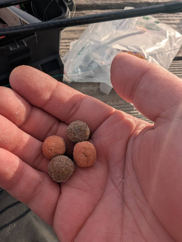 591792428793462904 591792428793462904