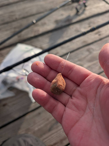 591792429883981859 591792429883981859