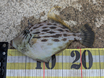 593964525724631160 593964525724631160