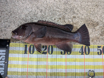 593964528207659128 593964528207659128