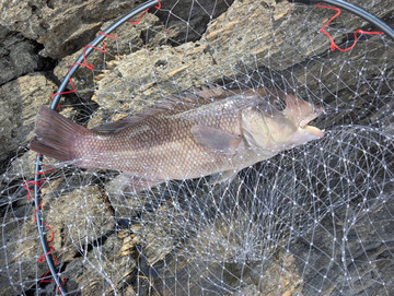 593964530237702298 593964530237702298