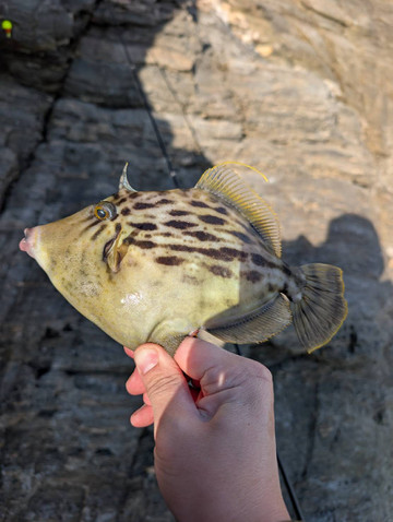 593964531294666889 593964531294666889