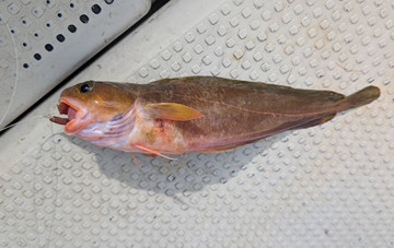 595881746881839310_2