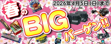 Ccbdd8e5096ede2e9d2acaaba8675bc31_2