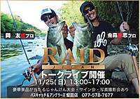 Raid_japan5_2