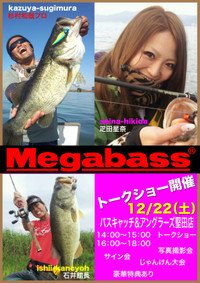 Megabass_2