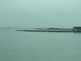 Rimg0521_medium