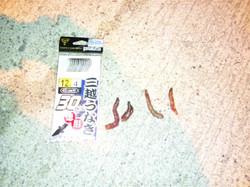 Dsc_0441_medium
