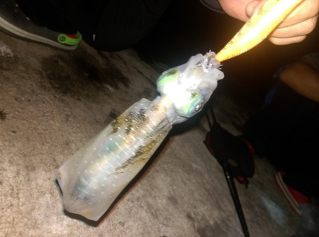 Imag1022_large