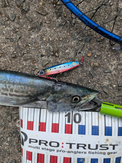釣り具レジャー用品専門店 アングラーズ(ANGLERS)